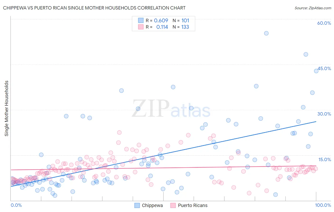 Chippewa vs Puerto Rican Single Mother Households