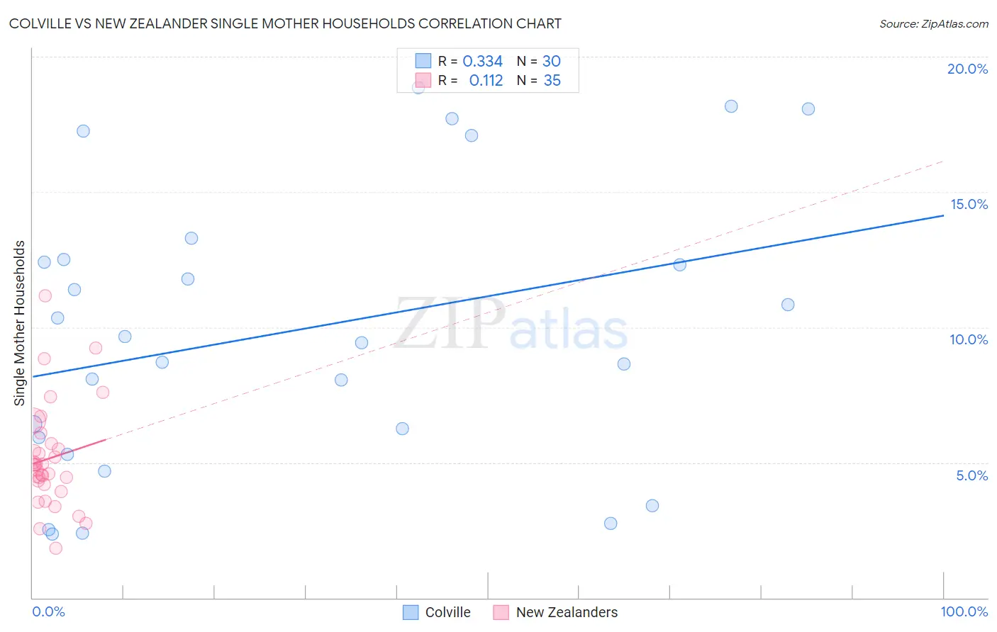 Colville vs New Zealander Single Mother Households