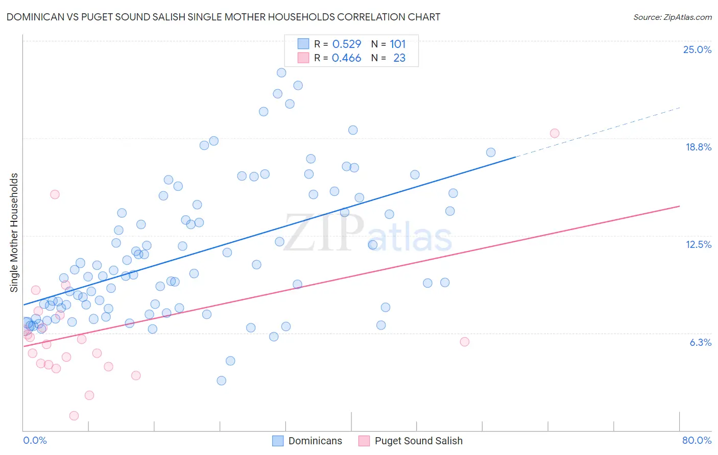 Dominican vs Puget Sound Salish Single Mother Households
