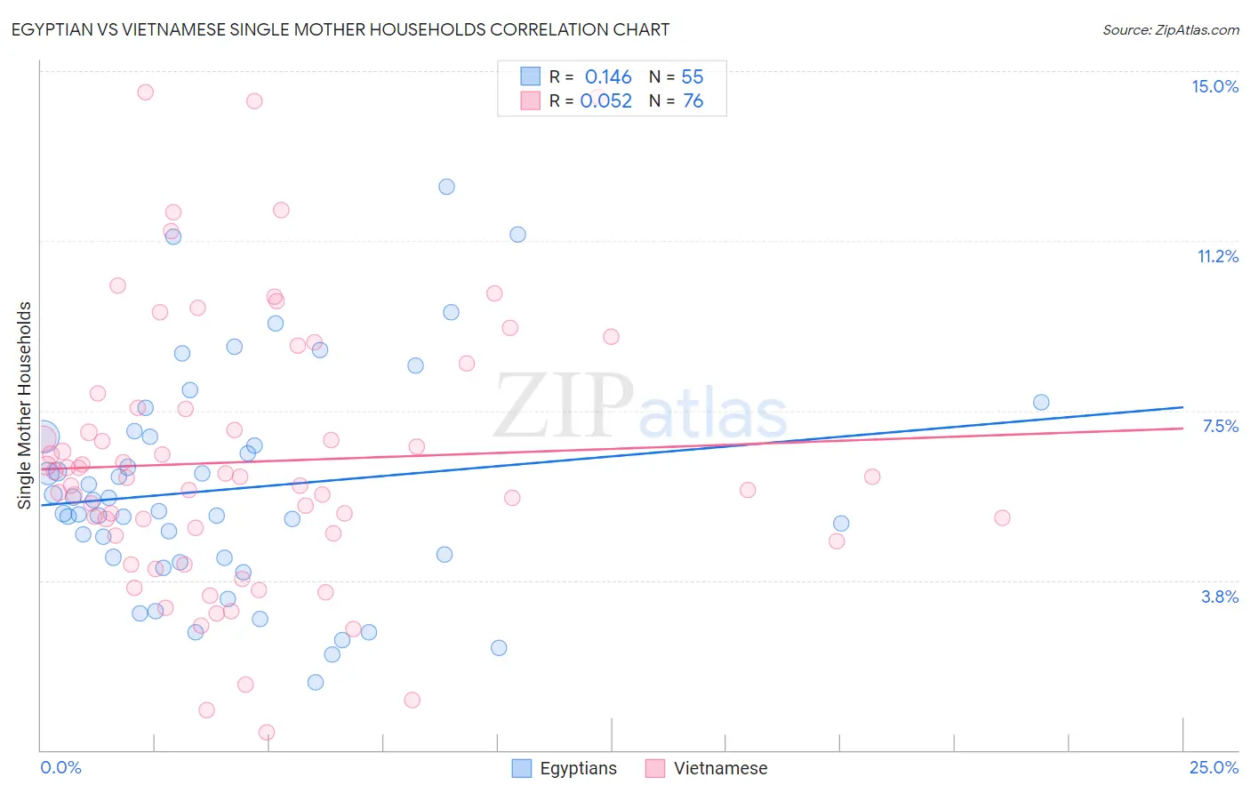 Egyptian vs Vietnamese Single Mother Households