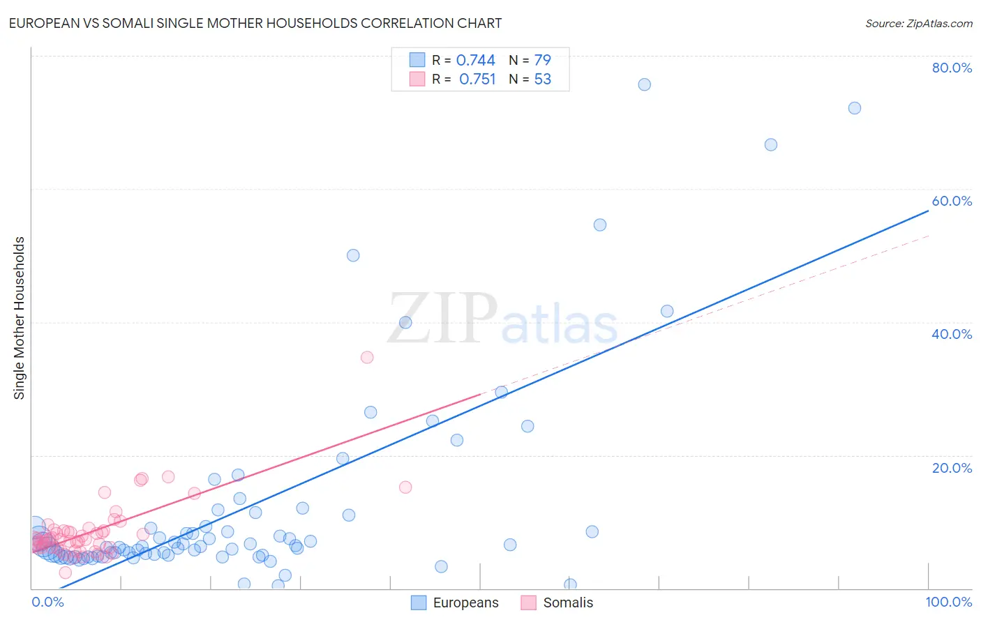 European vs Somali Single Mother Households