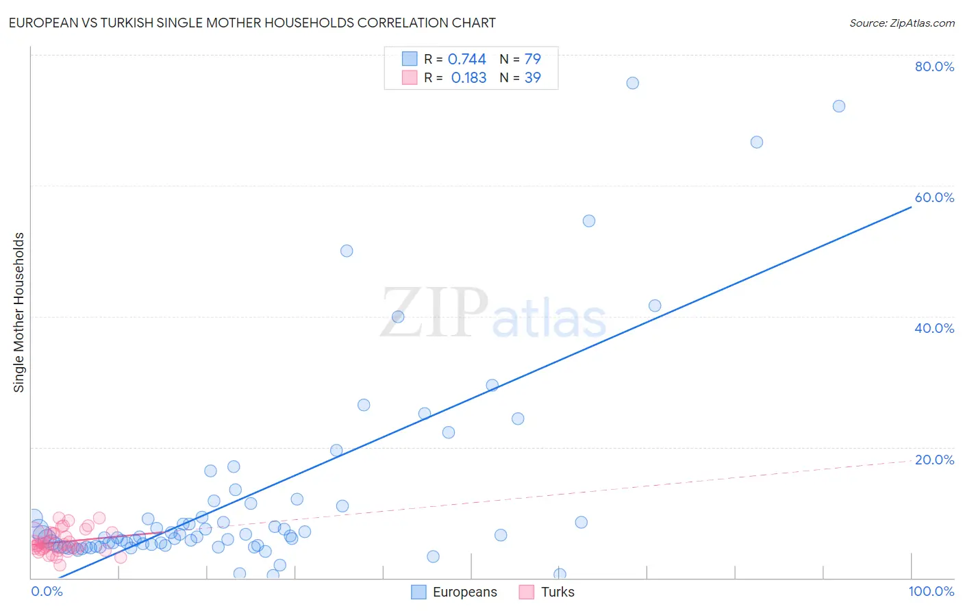 European vs Turkish Single Mother Households