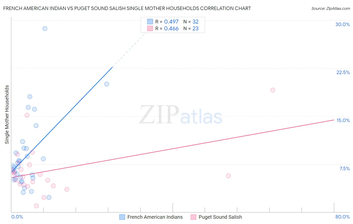 French American Indian vs Puget Sound Salish Single Mother Households