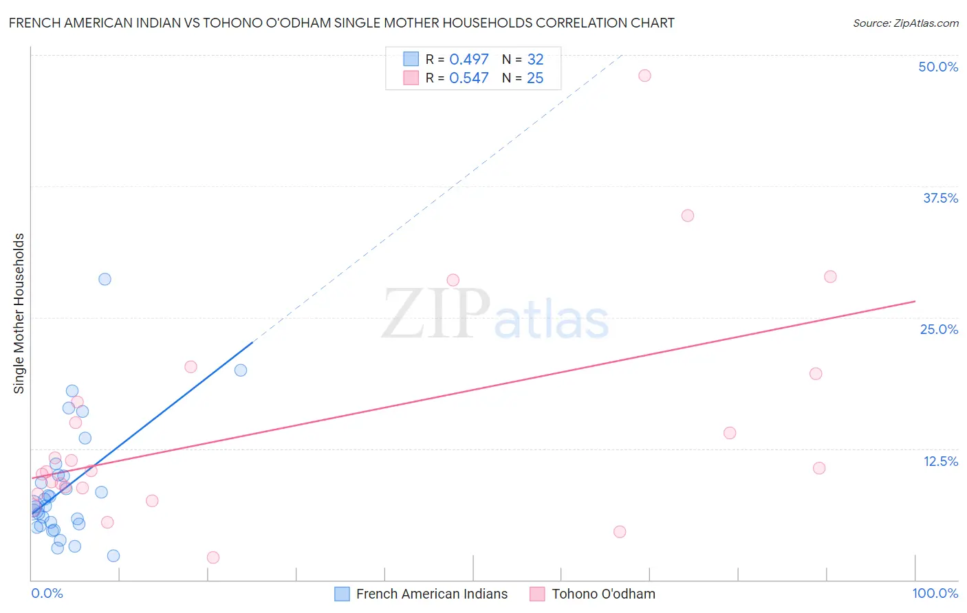 French American Indian vs Tohono O'odham Single Mother Households