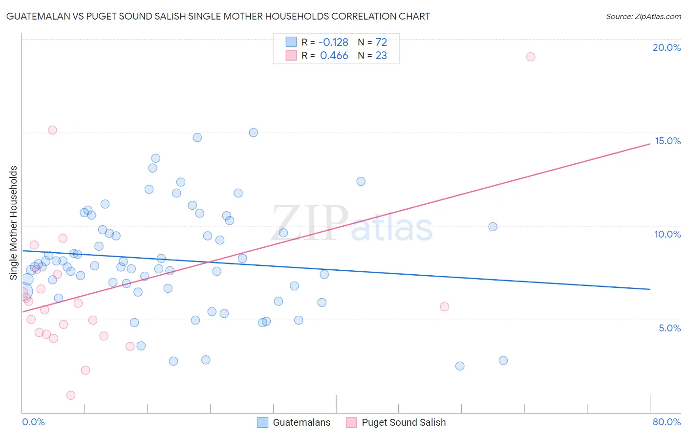 Guatemalan vs Puget Sound Salish Single Mother Households