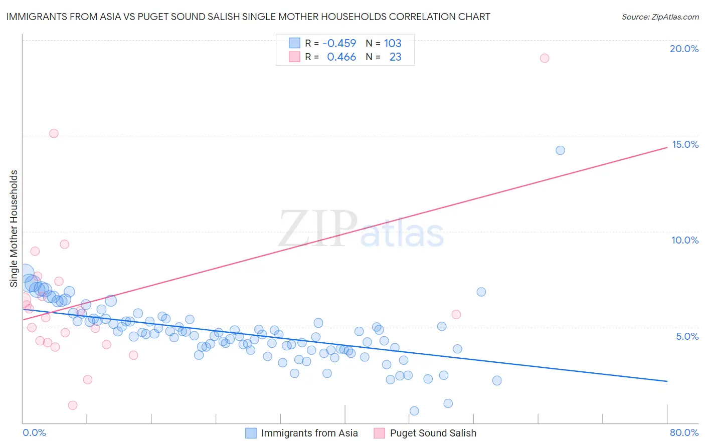 Immigrants from Asia vs Puget Sound Salish Single Mother Households