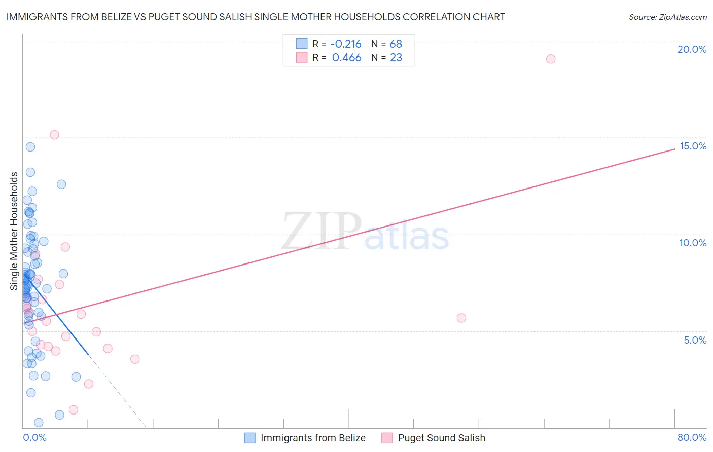 Immigrants from Belize vs Puget Sound Salish Single Mother Households