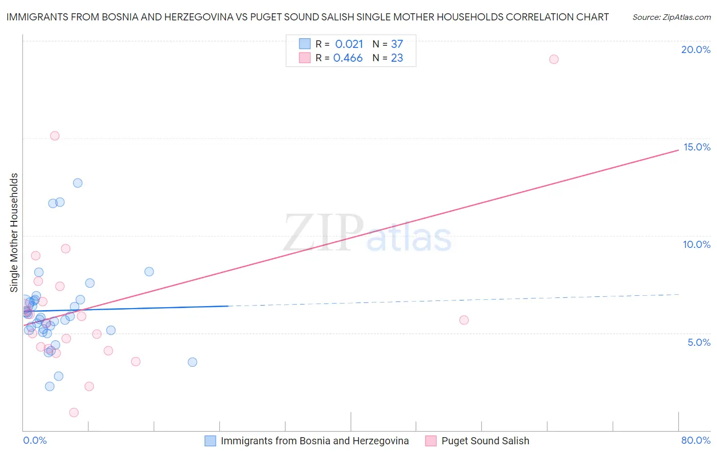 Immigrants from Bosnia and Herzegovina vs Puget Sound Salish Single Mother Households