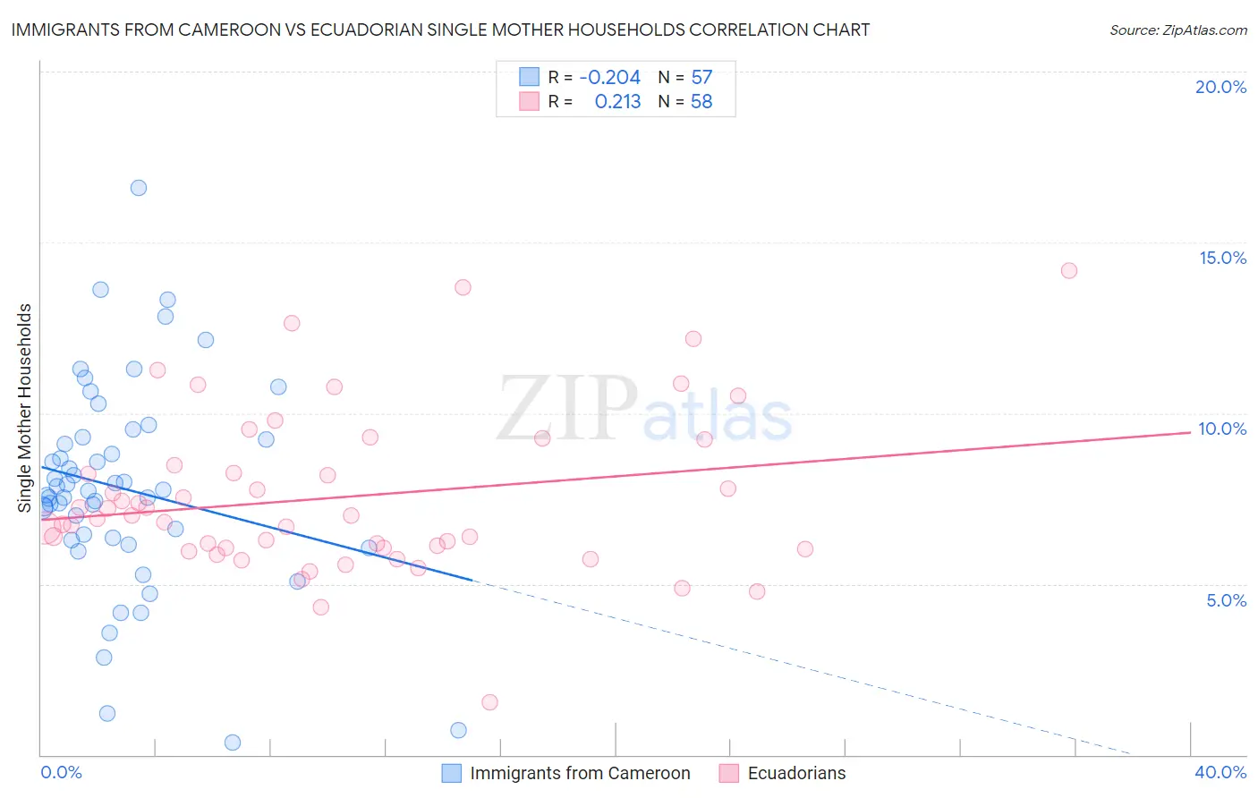 Immigrants from Cameroon vs Ecuadorian Single Mother Households