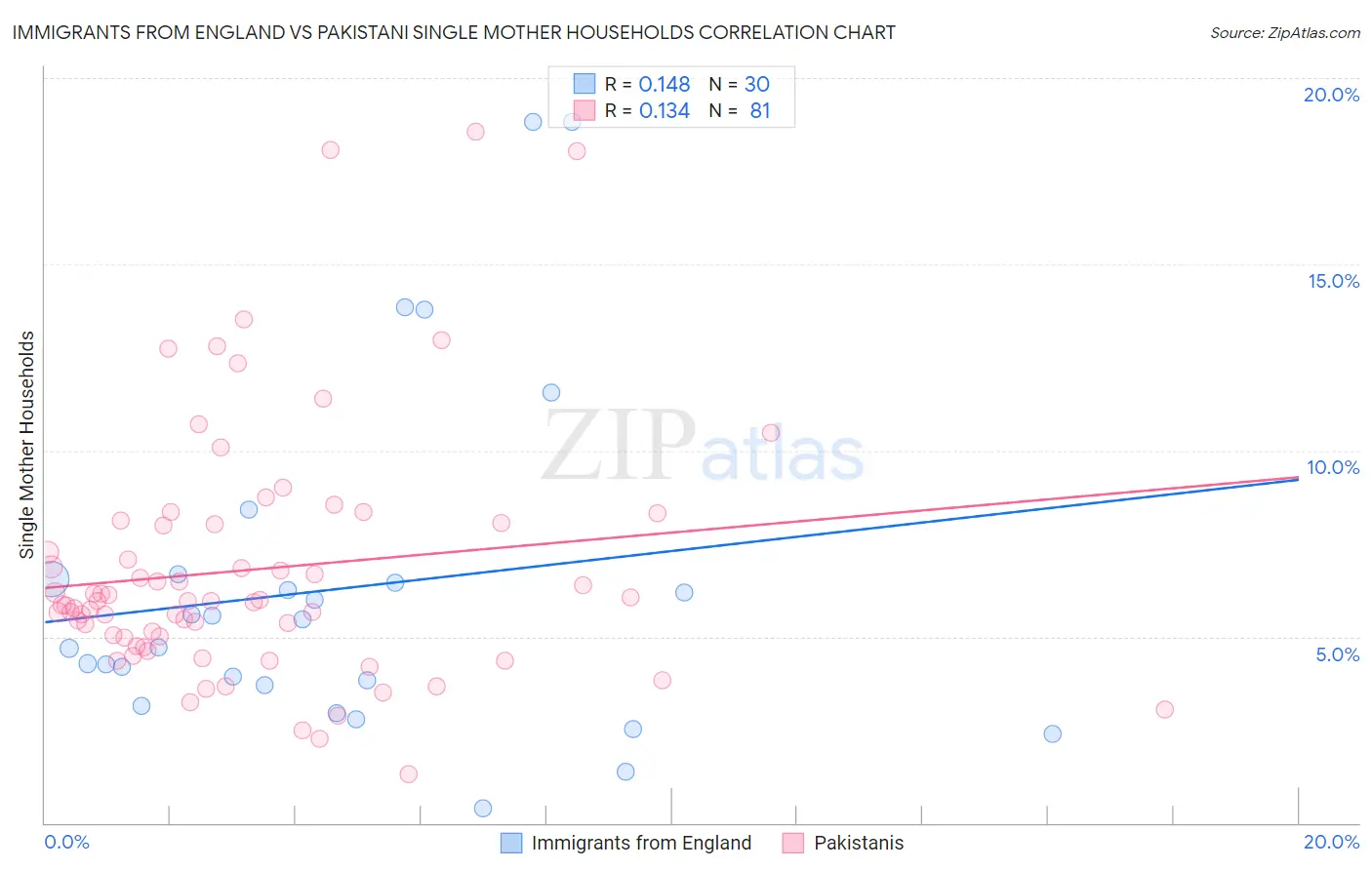 Immigrants from England vs Pakistani Single Mother Households