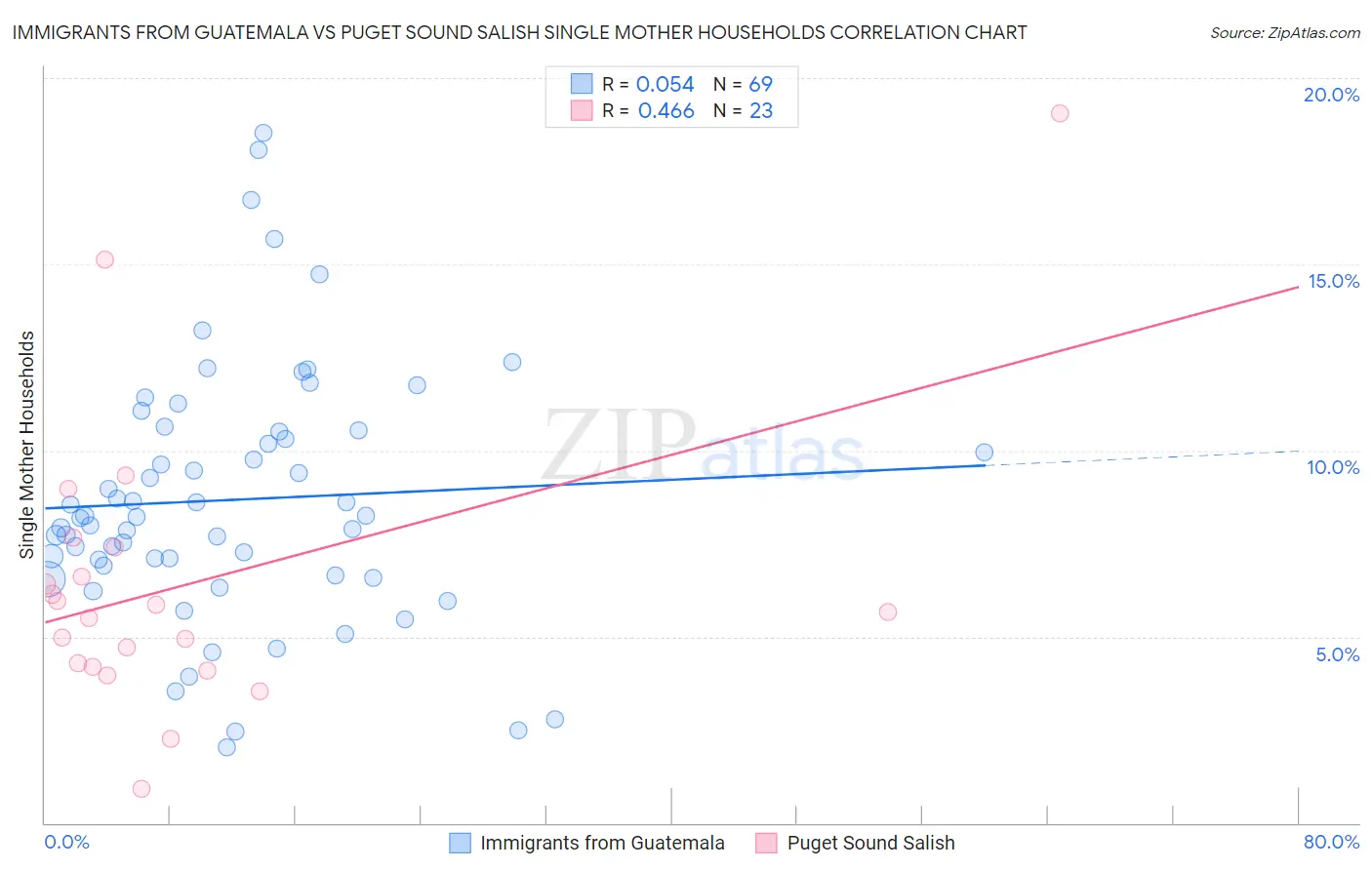 Immigrants from Guatemala vs Puget Sound Salish Single Mother Households
