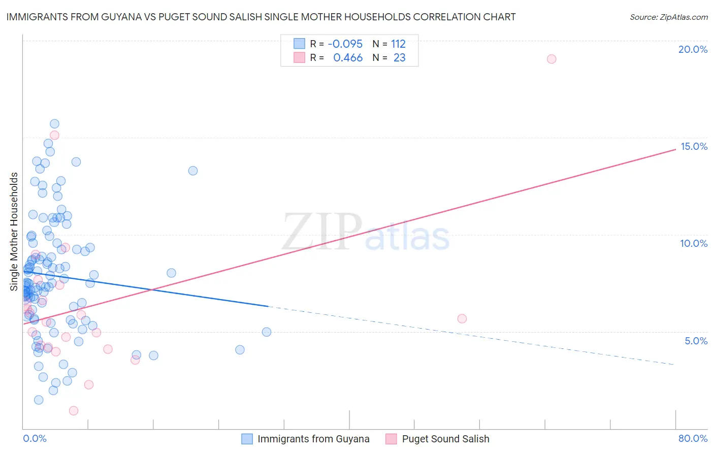 Immigrants from Guyana vs Puget Sound Salish Single Mother Households