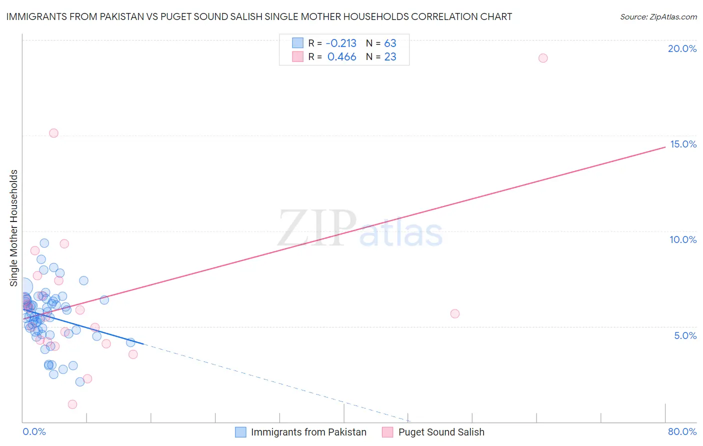 Immigrants from Pakistan vs Puget Sound Salish Single Mother Households