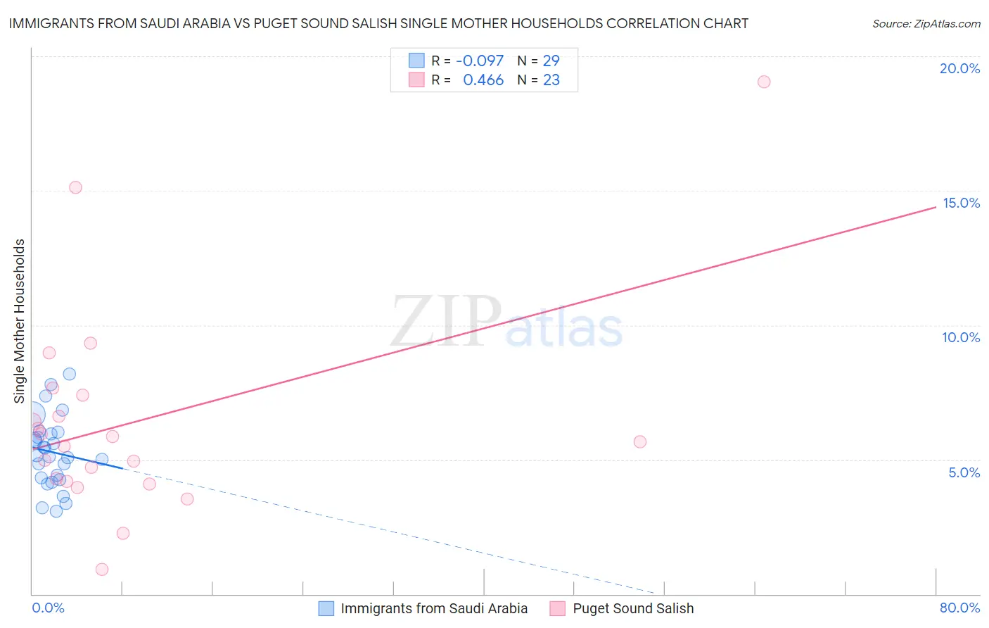Immigrants from Saudi Arabia vs Puget Sound Salish Single Mother Households