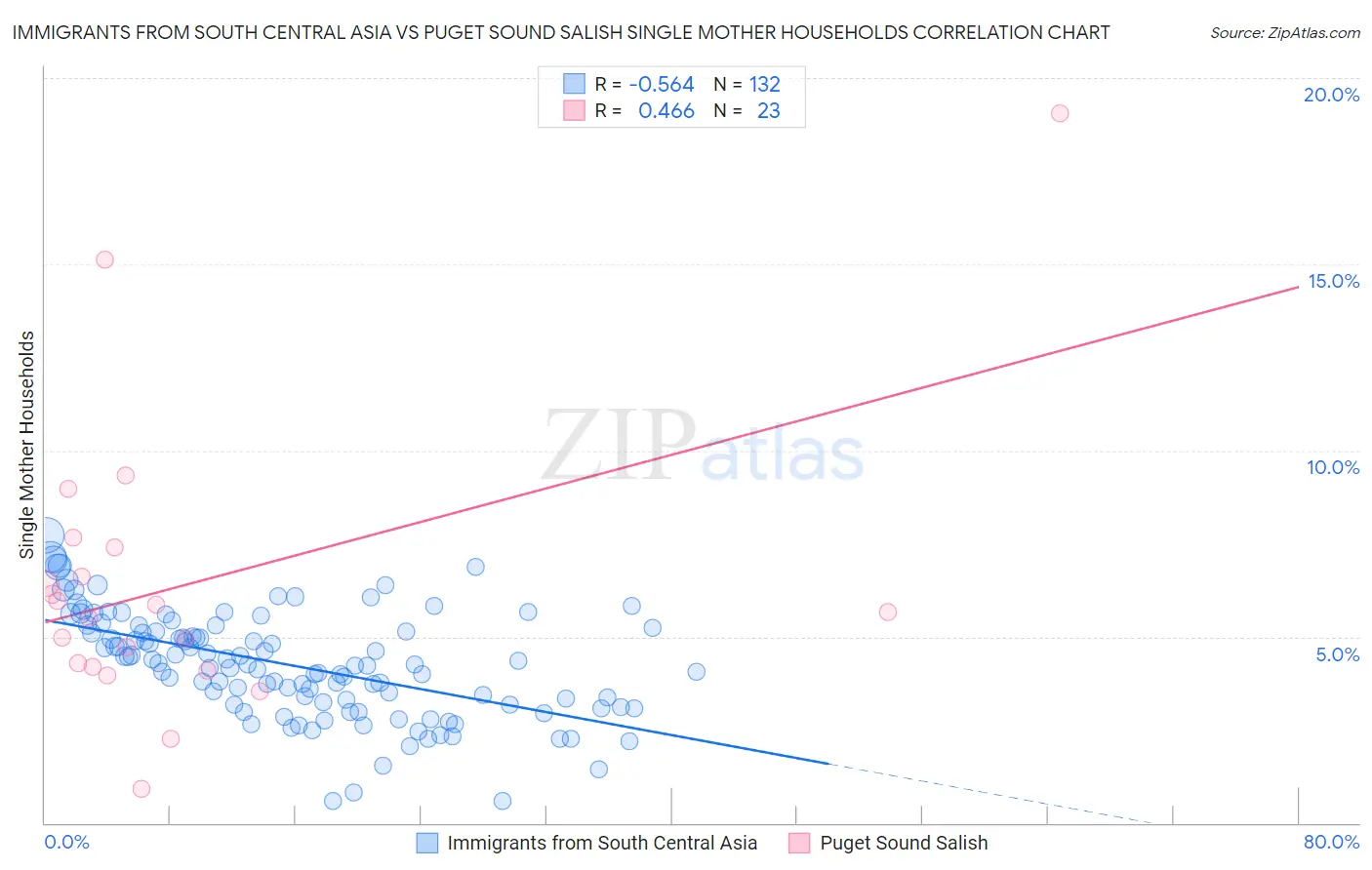Immigrants from South Central Asia vs Puget Sound Salish Single Mother Households