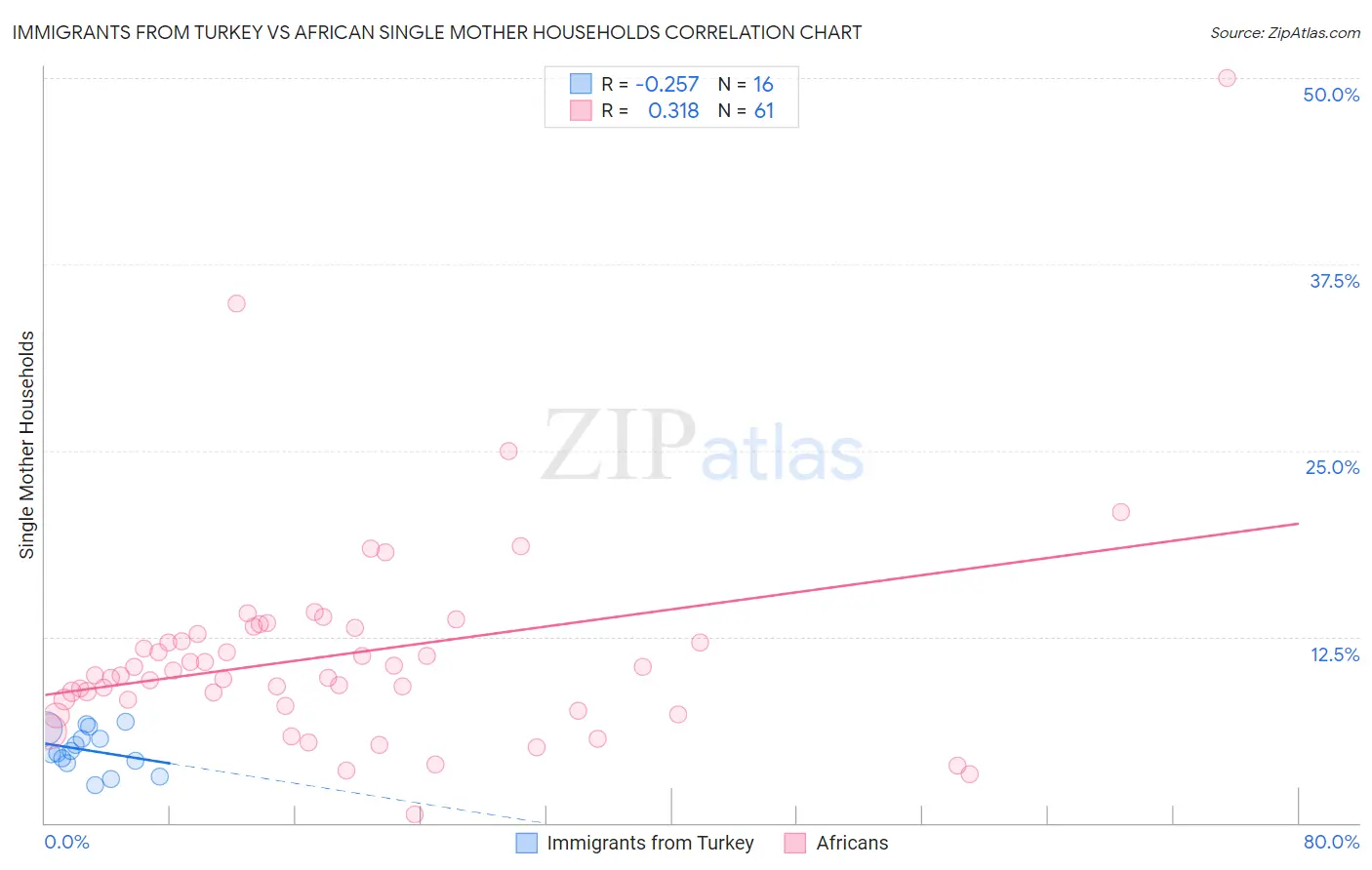 Immigrants from Turkey vs African Single Mother Households