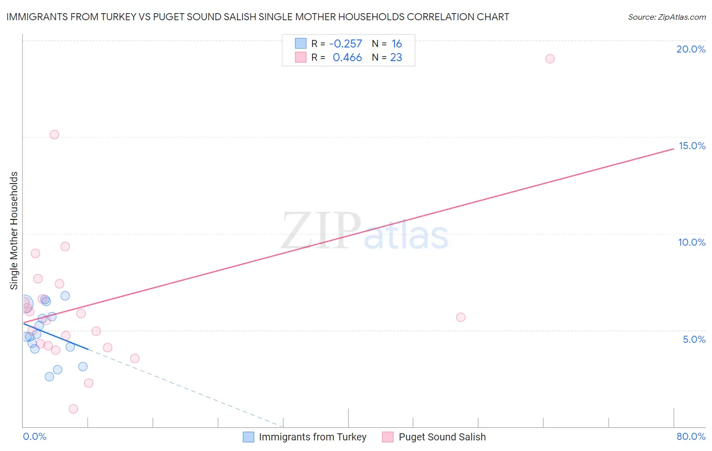Immigrants from Turkey vs Puget Sound Salish Single Mother Households