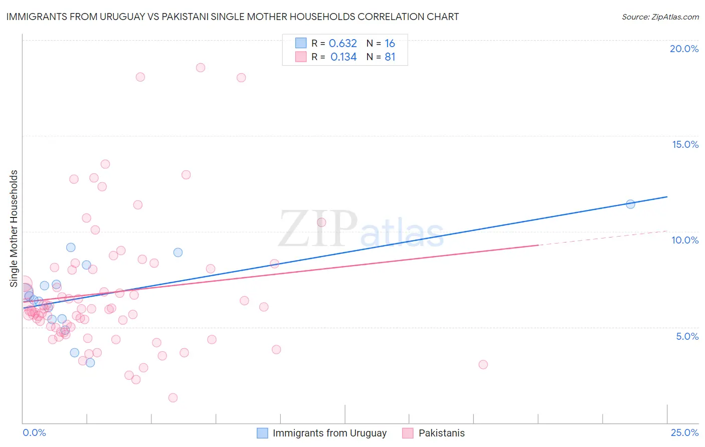 Immigrants from Uruguay vs Pakistani Single Mother Households