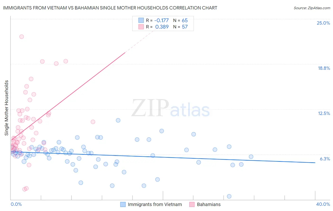 Immigrants from Vietnam vs Bahamian Single Mother Households