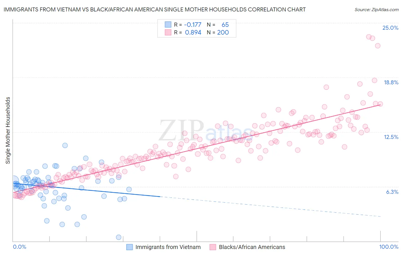 Immigrants from Vietnam vs Black/African American Single Mother Households