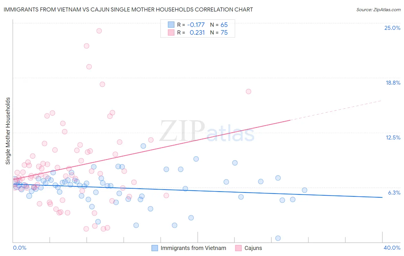 Immigrants from Vietnam vs Cajun Single Mother Households