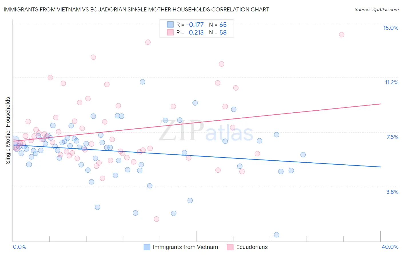 Immigrants from Vietnam vs Ecuadorian Single Mother Households