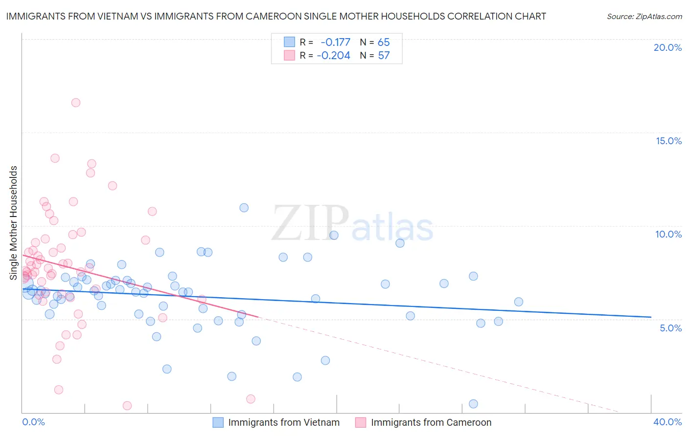 Immigrants from Vietnam vs Immigrants from Cameroon Single Mother Households