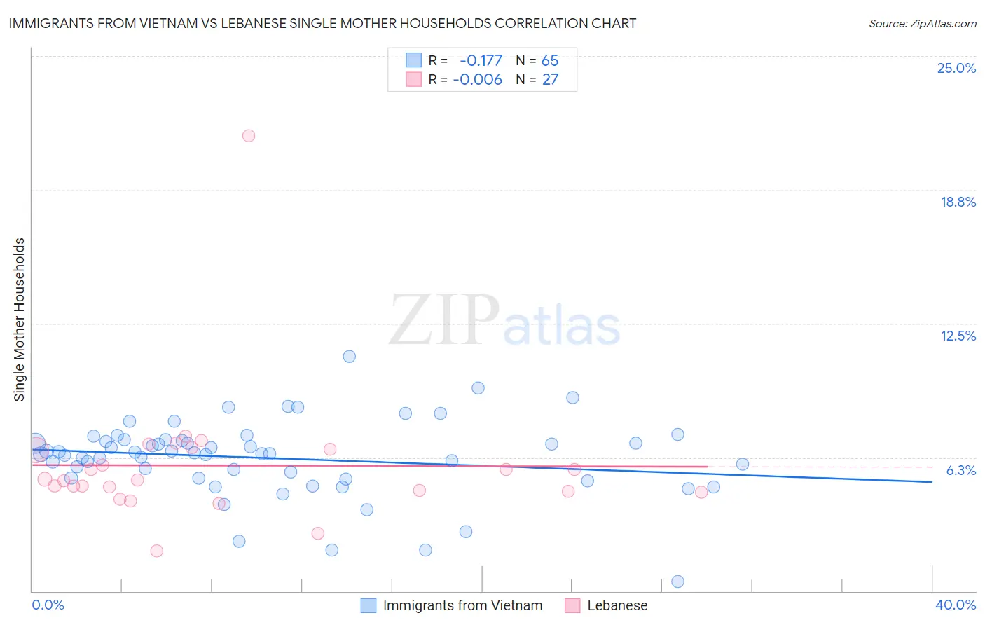 Immigrants from Vietnam vs Lebanese Single Mother Households