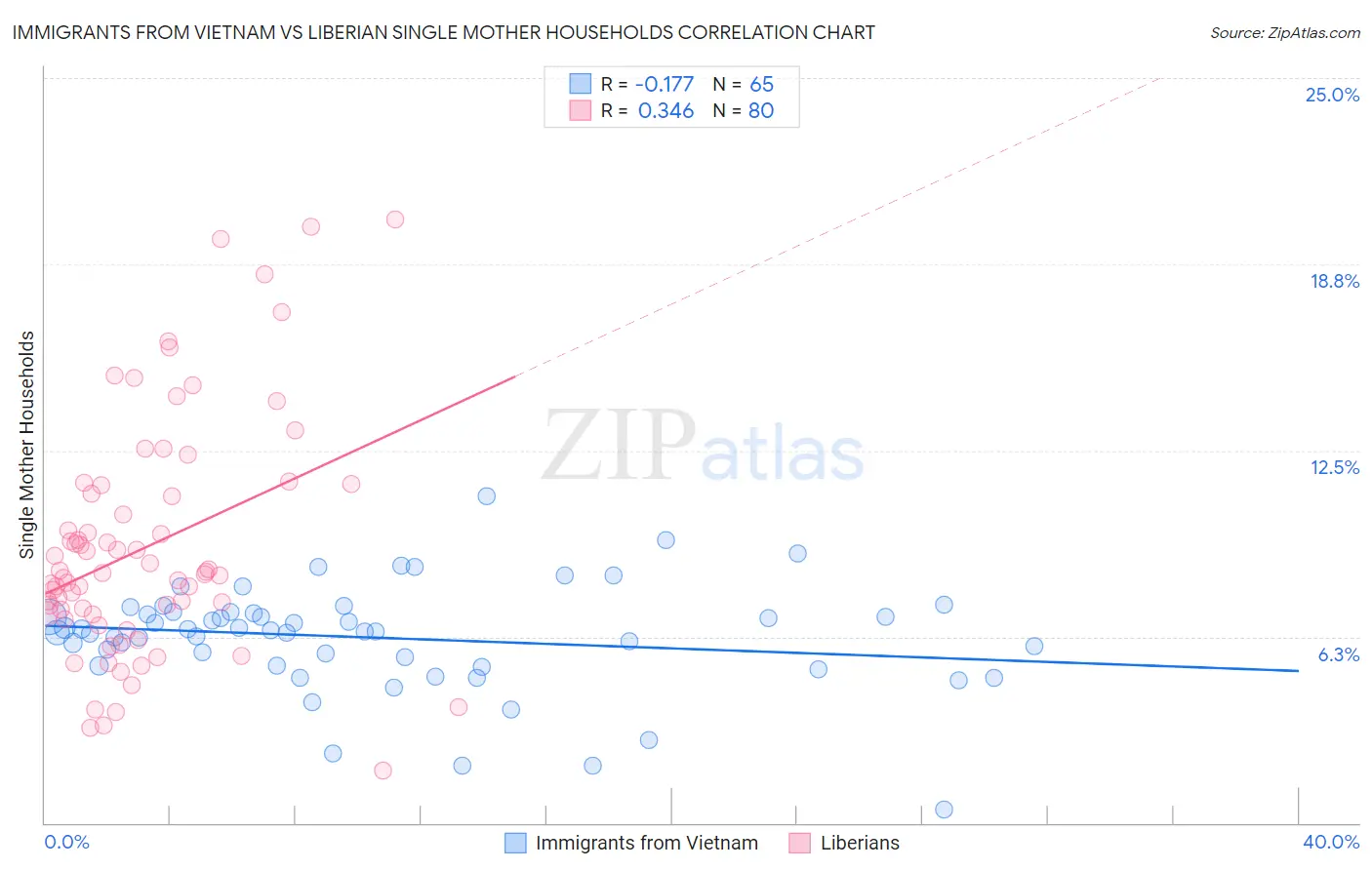 Immigrants from Vietnam vs Liberian Single Mother Households