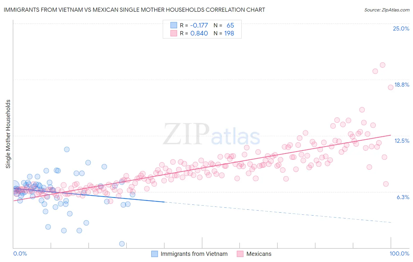 Immigrants from Vietnam vs Mexican Single Mother Households