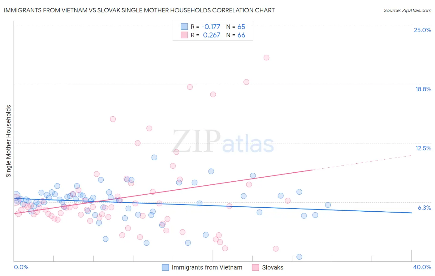 Immigrants from Vietnam vs Slovak Single Mother Households