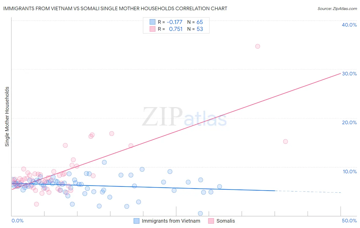 Immigrants from Vietnam vs Somali Single Mother Households