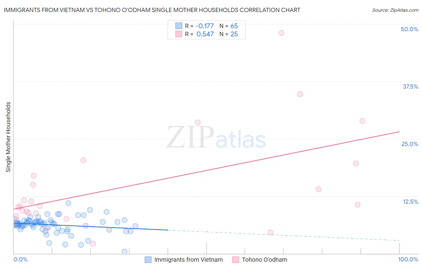 Immigrants from Vietnam vs Tohono O'odham Single Mother Households
