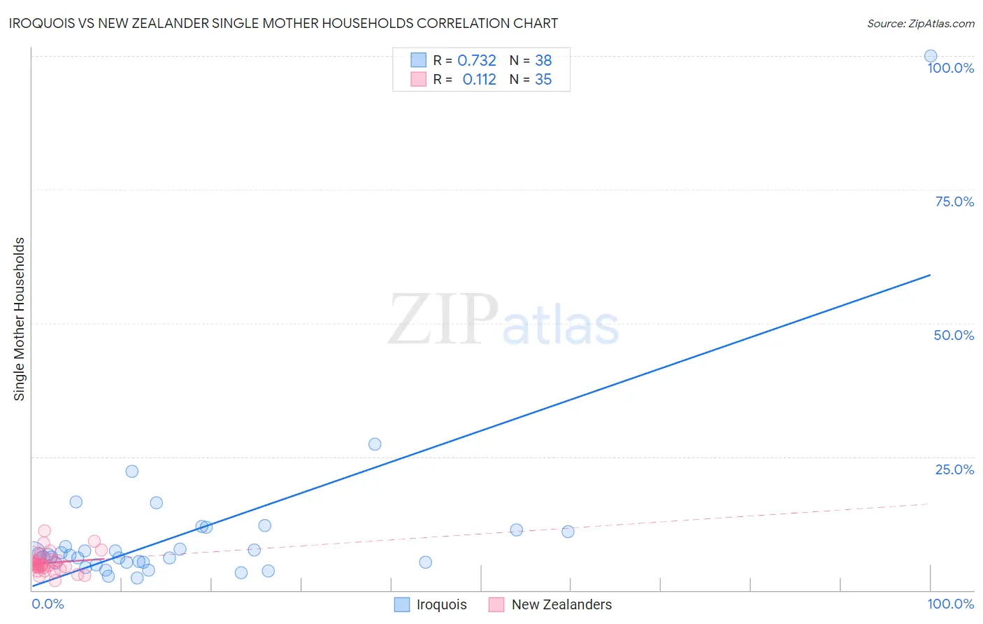 Iroquois vs New Zealander Single Mother Households