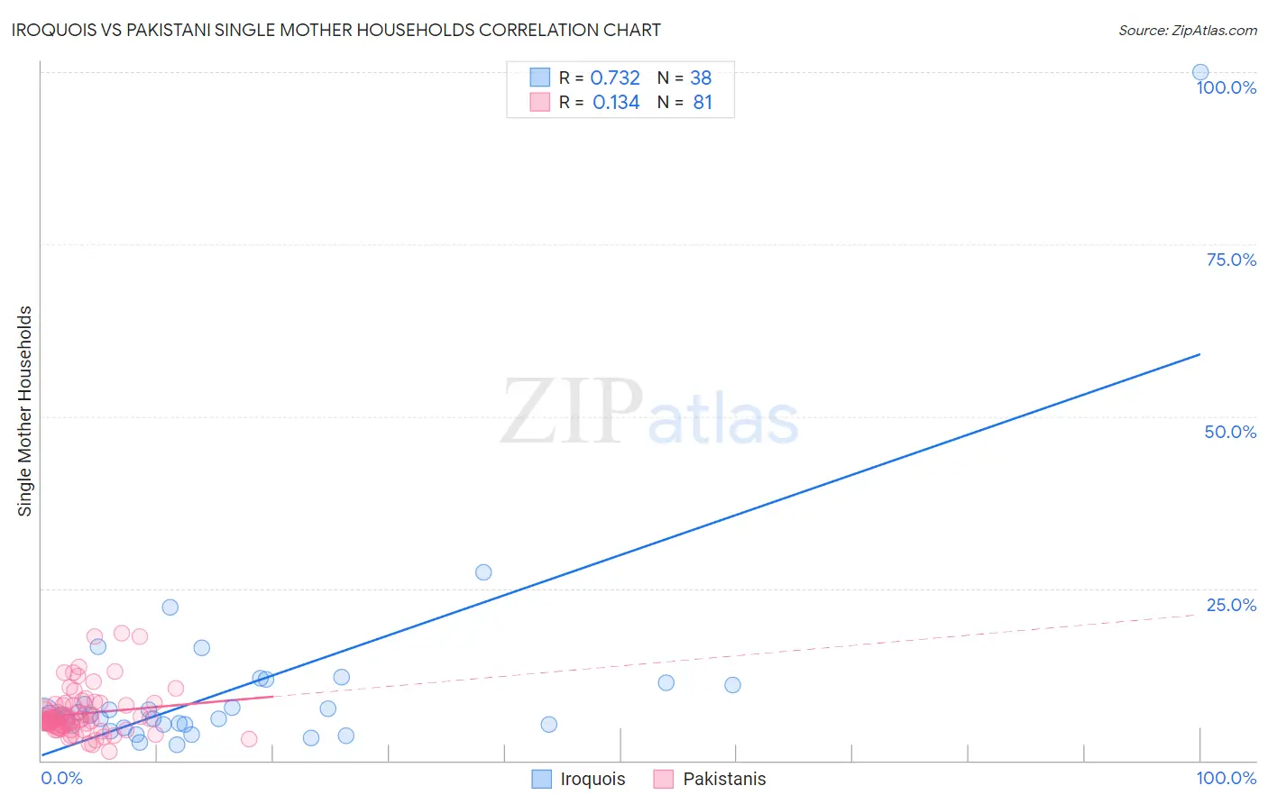 Iroquois vs Pakistani Single Mother Households