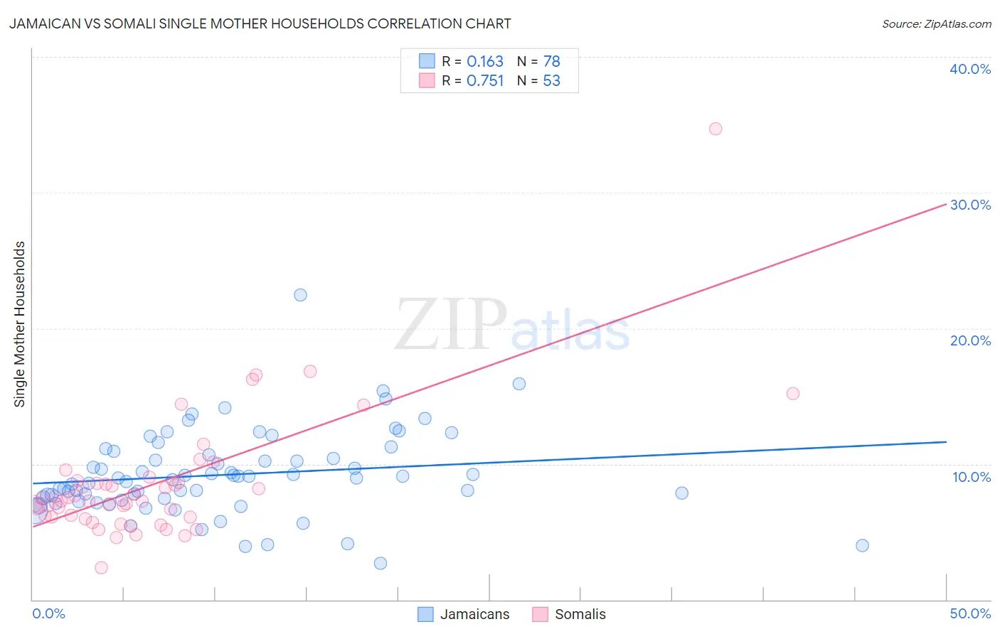 Jamaican vs Somali Single Mother Households