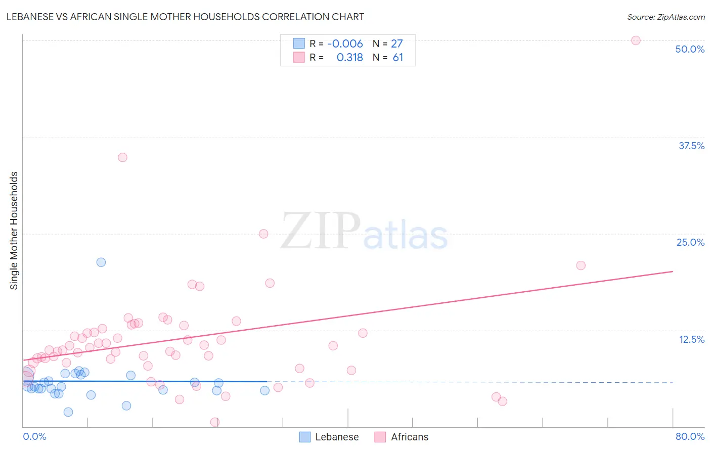 Lebanese vs African Single Mother Households