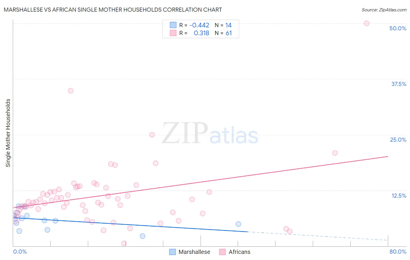 Marshallese vs African Single Mother Households