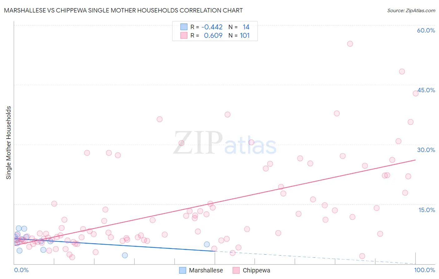 Marshallese vs Chippewa Single Mother Households