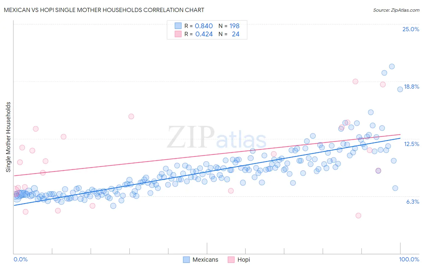 Mexican vs Hopi Single Mother Households