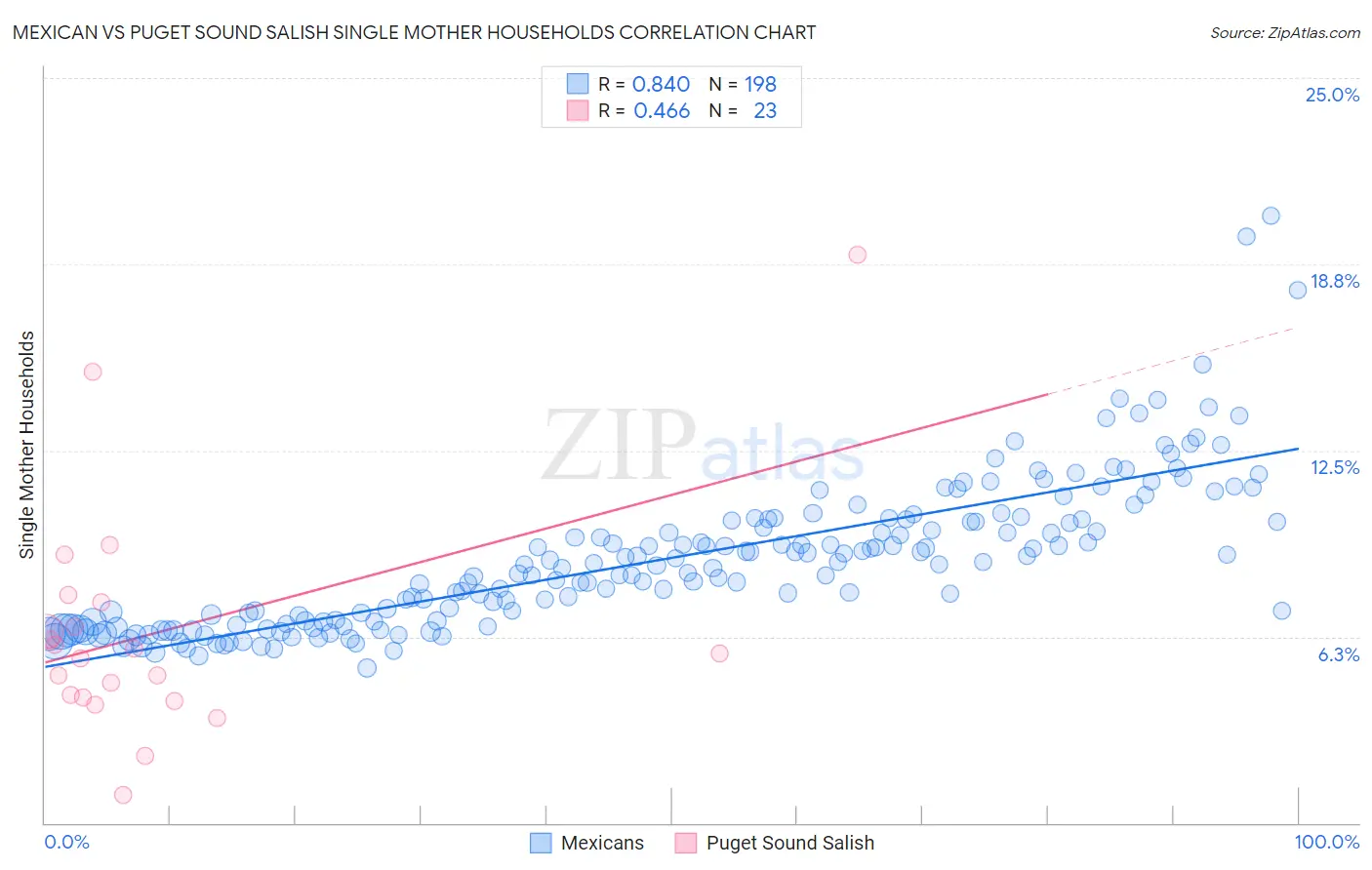 Mexican vs Puget Sound Salish Single Mother Households