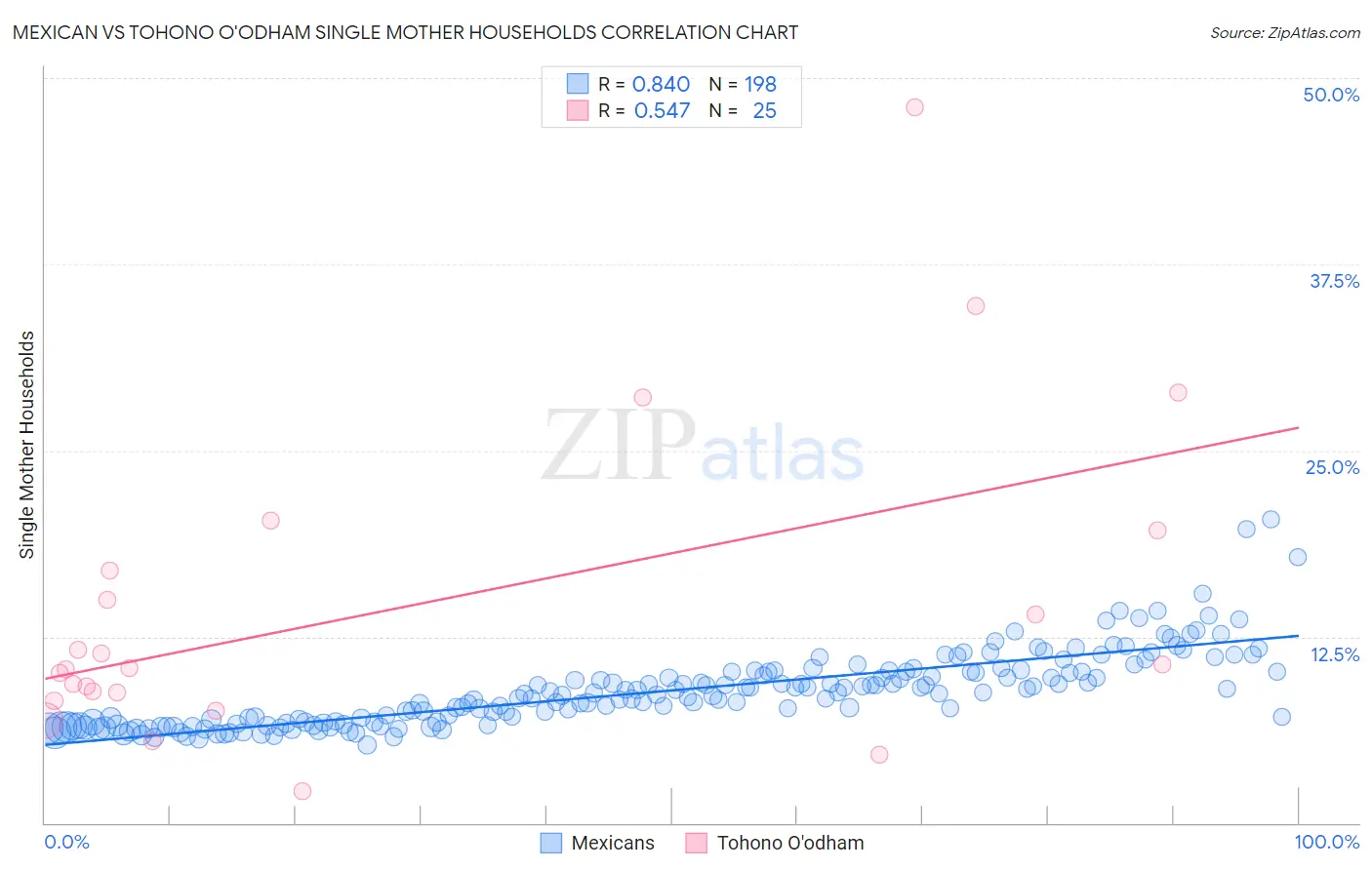 Mexican vs Tohono O'odham Single Mother Households