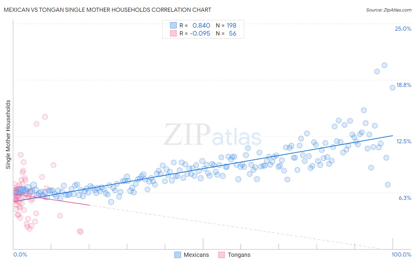 Mexican vs Tongan Single Mother Households