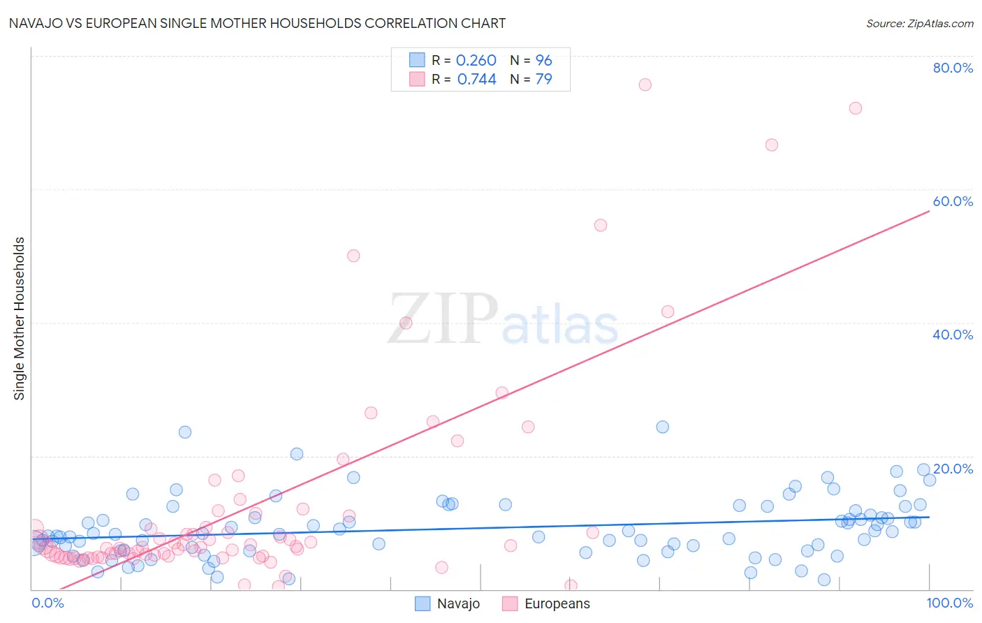 Navajo vs European Single Mother Households