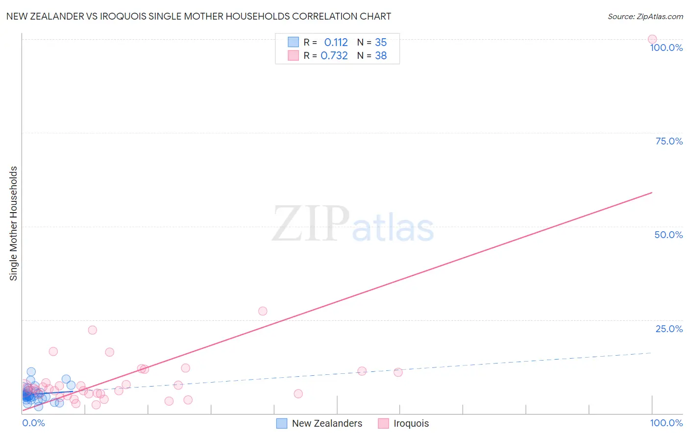New Zealander vs Iroquois Single Mother Households