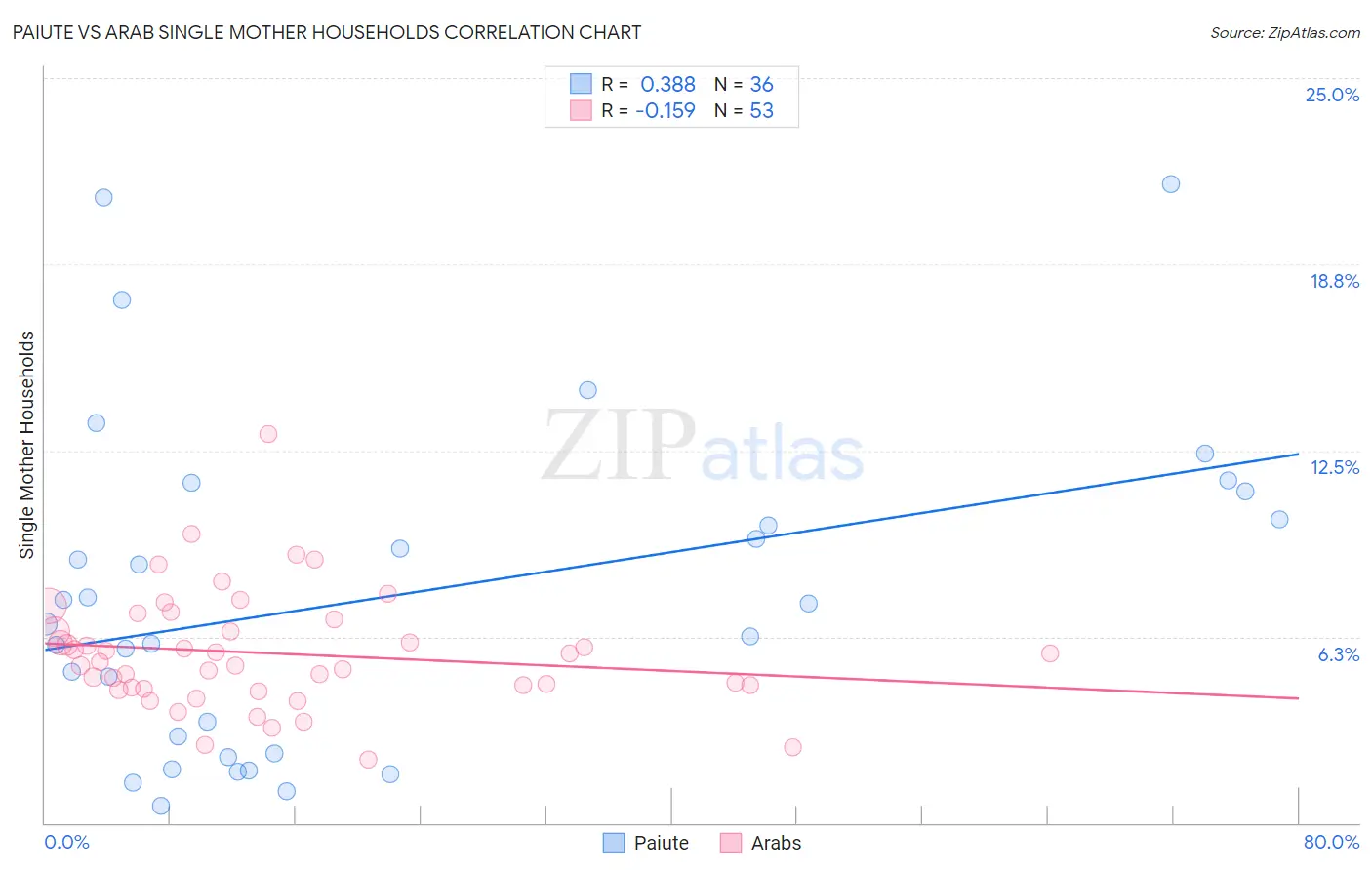 Paiute vs Arab Single Mother Households