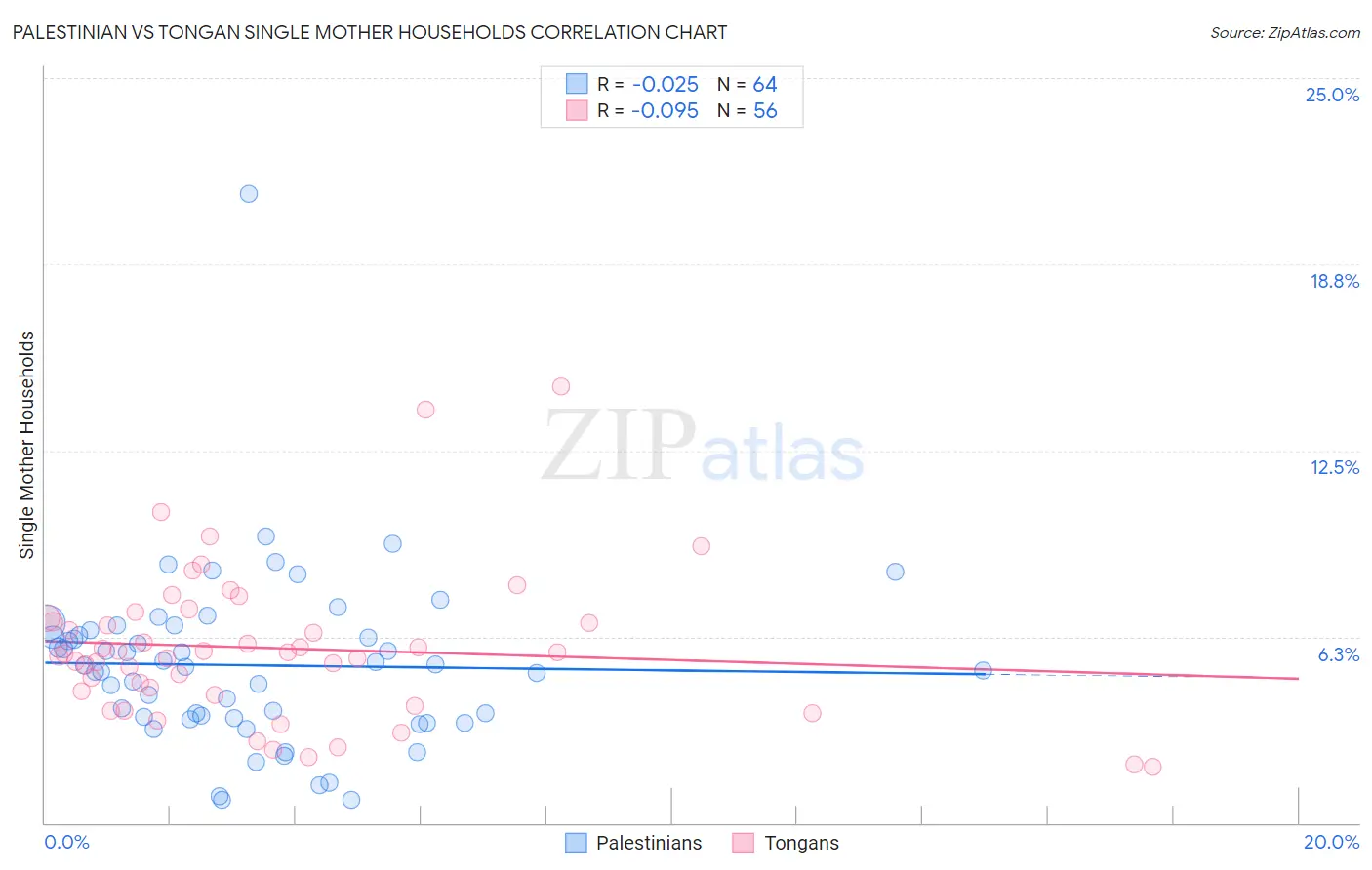 Palestinian vs Tongan Single Mother Households