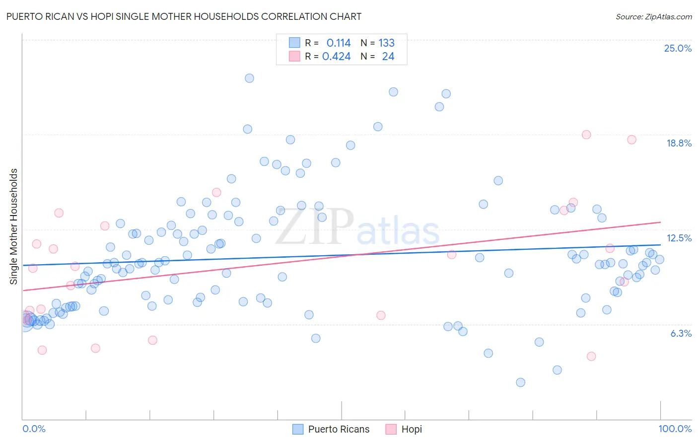 Puerto Rican vs Hopi Single Mother Households