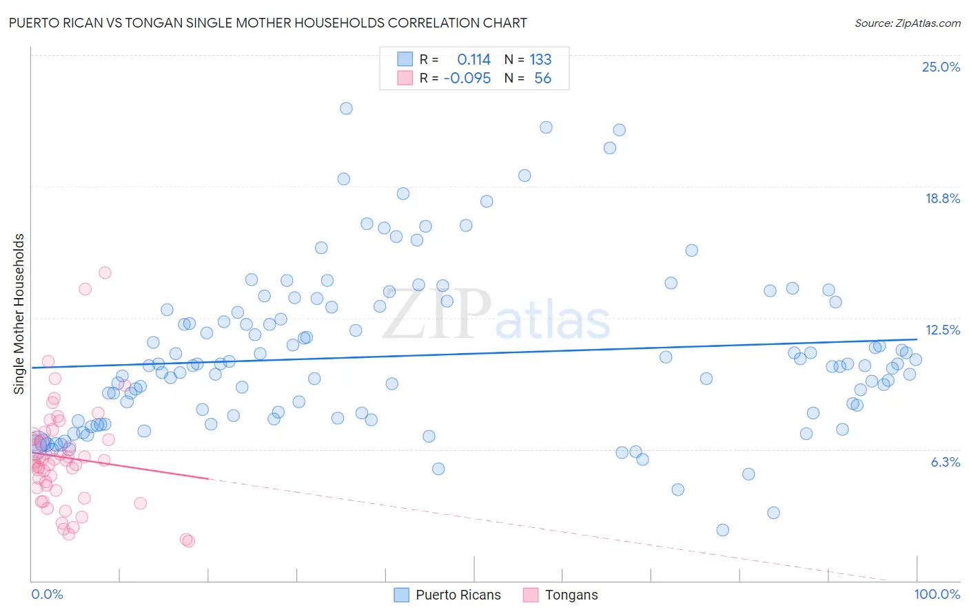 Puerto Rican vs Tongan Single Mother Households