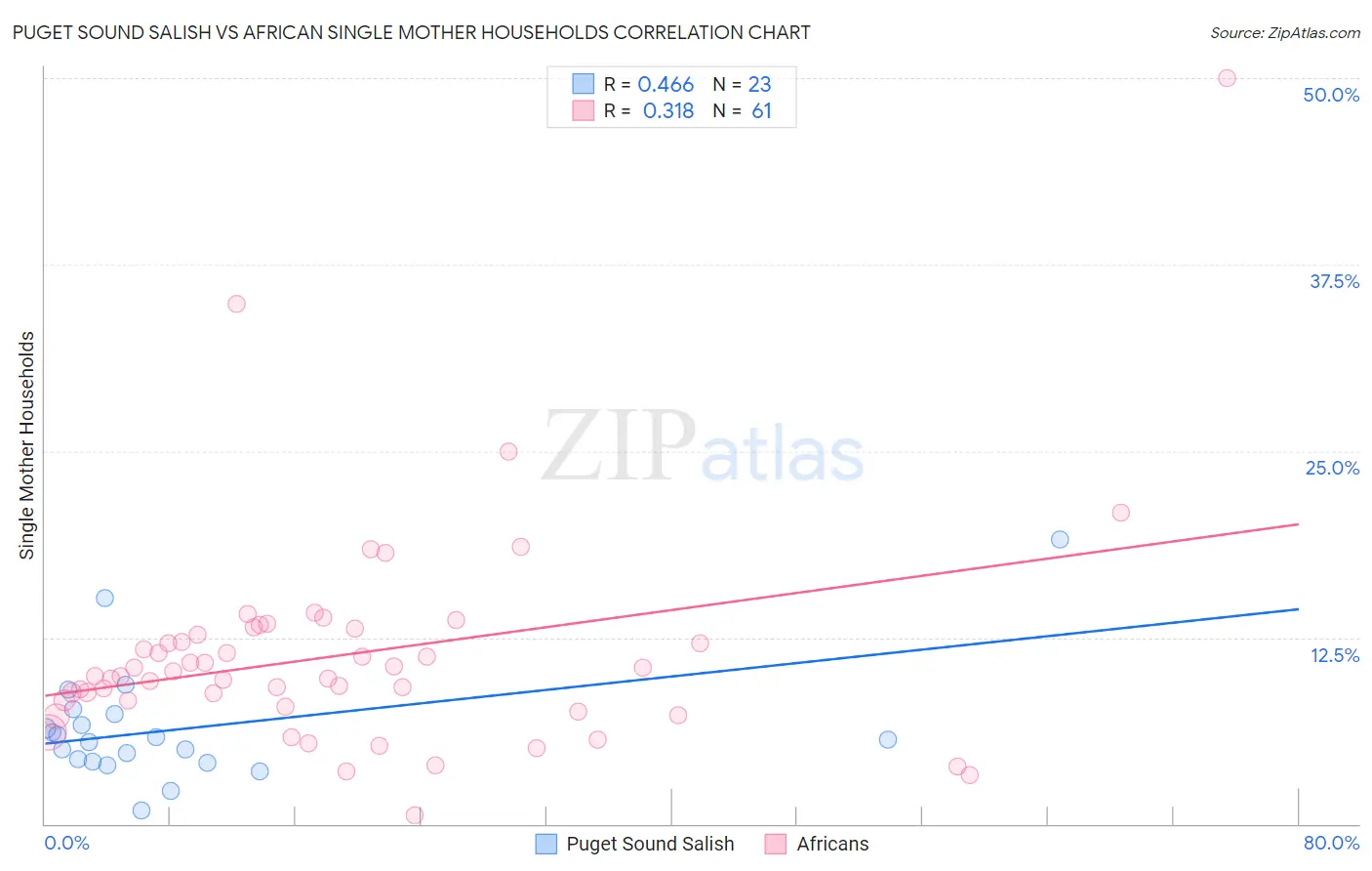 Puget Sound Salish vs African Single Mother Households